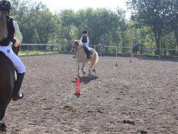 img_0242_web